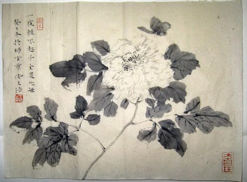 作者：王法一夜轻风起￥：协商单击鼠标查看详细介绍！